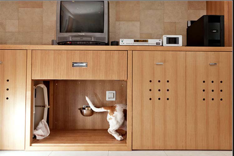 https://www.decorilla.com/online-decorating/wp-content/uploads/2014/07/pet-friendly-interior-design-2.jpg