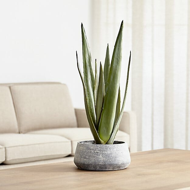 https://www.decorilla.com/online-decorating/wp-content/uploads/2018/12/home-decor-gift-ideas-faux-plant.jpg