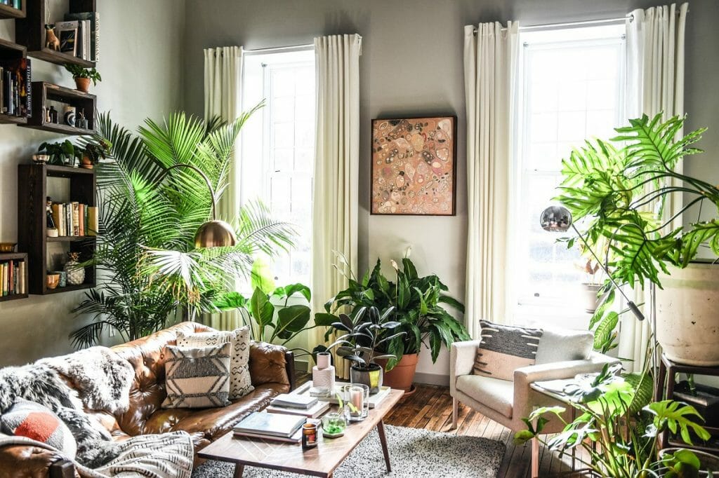 Plants in Interior Design: How to Make Your Home Flourish - Decorilla