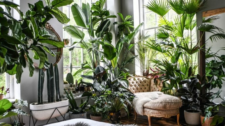 plants-in-interior-design-how-to-make-your-home-flourish-decorilla