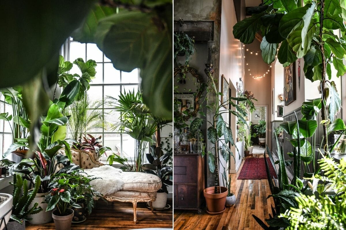 Lush Interior Filled With Indoor Plants Design Coveteur 