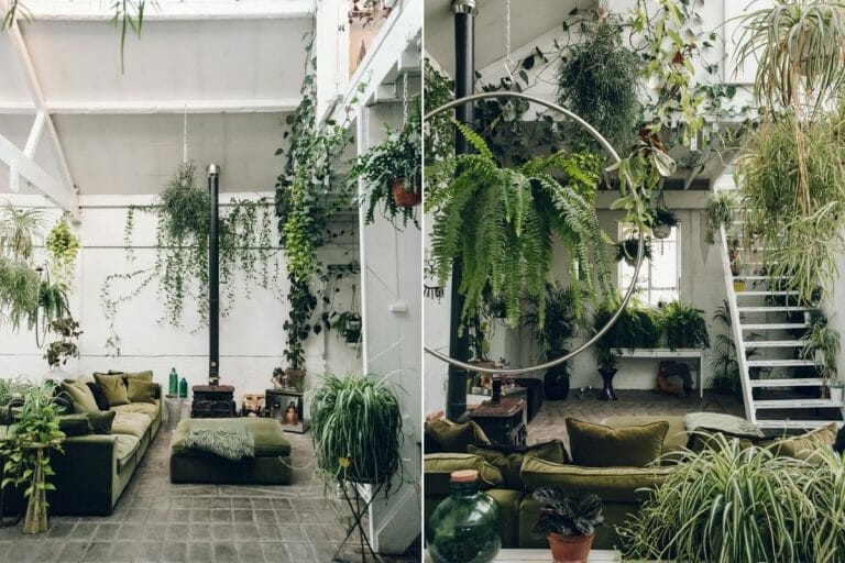 Plants in Interior Design: How to Make Your Home Flourish - Decorilla ...