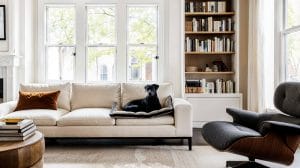 Mid-century-living-room-with-pet-friendly-furniture-by-Decorilla