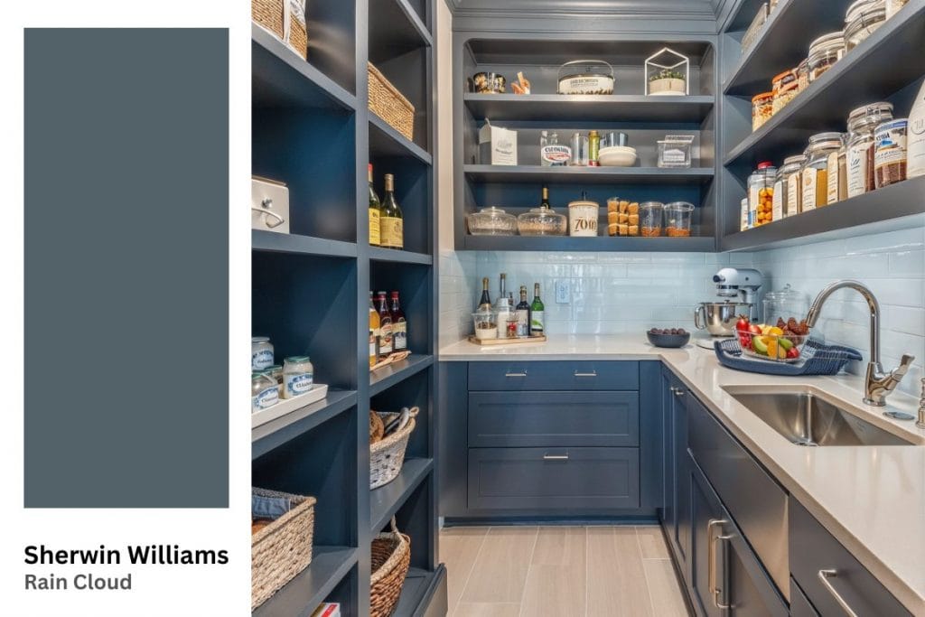 Modern kitchen pantry with Rain Cloud cabinets by DECORILLA